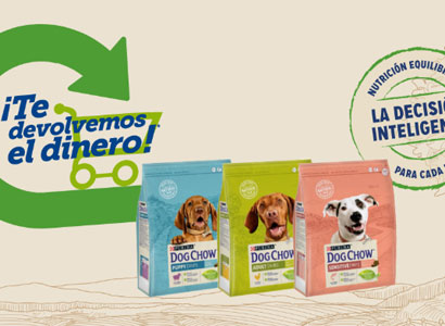 Saco de Purina Dog Chow Saco de Purina Dog Chow