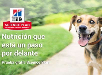 2.000 reembolsos de productos Hill's Science Plan 2.000 reembolsos de productos Hill's Science Plan