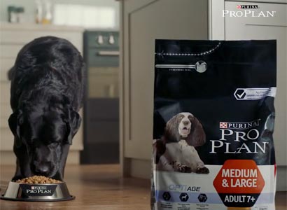 1.000 muestras gratis Purina Pro Plan Optiage para perros mayores de 7 años 1.000 muestras gratis Purina Pro Plan Optiage para perros mayores de 7 años